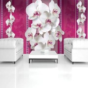 Fototapet - Flori (152,5x104 cm)