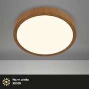 Plafonieră LED RUNA LED/24W/230V Brilo