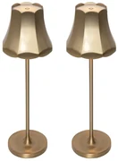 Set de 2 lămpi de masă retro auriu roz reîncărcabile IP44 - Granny