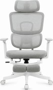 Scaun Ergonomic Premium cu Suport pentru Picioare, Reclinare 145°, Tetieră Reglabilă, Cotiere 3D, Suport Lombar Elastic și Șezut cu adâncime reglabilă, Gri