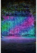 Instalație perdea de lumini combinată cu LED-uri Twinkly Curtain 150cm RGB-AWWW 210LED