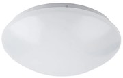 Rabalux 3436 - Plafonieră LED LUCAS LED/24W/230V