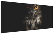 Tablou cu bufnița (120x50 cm)