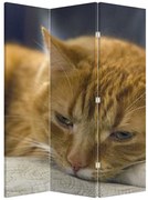 Paravan pisica (126x170 cm)
