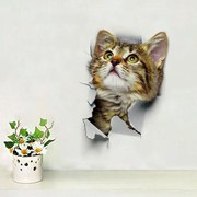 Sticker decorativ Here I Am Kitten looking up 25x16.5.cm