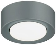 Spot tavan, Mini plafoniera ELORA 8917 night sage