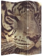 Paravan - Tigrul (126x170 cm)