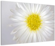 Tablou - Margarita (90x60 cm)