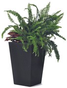 Recipient de ghiveci Ketter Rattan Planter, antracit, 23,6 l, 29 x 44 x 29 cm