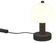 Veioza clasica E14 GLENN R51961032 Trio