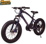 Bicicleta FatBike Fulger by Caraiman, roti 20 inch, cauciucuri groase, frane pe disc, cameleon