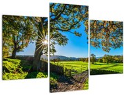 Tablou Privire la câmp (90x60 cm)