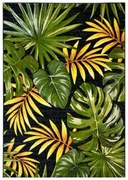 Covor Modern Tropical 11510 Selectează mărime: 200 X 300