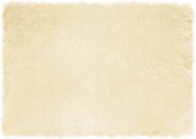 vidaXL Covor din Lână Faux Tafalla Crem 120 x 170 cm Poliester