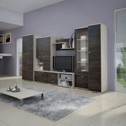 Mobilier living, frasin/stejar american, ARS