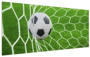 Tablou cu mingea de footbal în plasă (120x50 cm), în 40 de alte dimensiuni noi