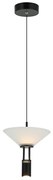 Pendul LED design modern decorativ Newy negru