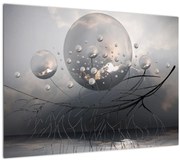 Tabloul bilelor abstracte (70x50 cm)
