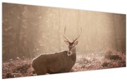 Tablou - Cerb în pădure (120x50 cm)