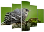 Tablou - Muscarul (150x105 cm)