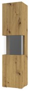 Vitrină Avernic Typ 05 (negru + Stejar artisan). 1042054