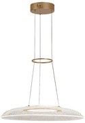 Lustra LED suspendata din metal auriu Zofrael D-50cm