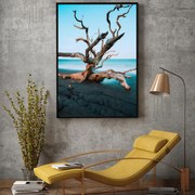 Poster - Shallow (A4)