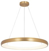 Lustra LED design modern circular Ring 80cm, Brushed Gold Matt