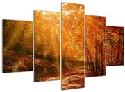 Tablou cu pădurea în toamnă (150x105 cm)