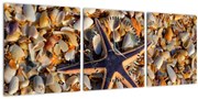 Tablou cu stea de mare (cu ceas) (90x30 cm)