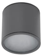 Spot aplicat pentru exterior IP65 ALIX GR