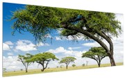 Tablou pe pânză K012234K12050 (120x50 cm), în 40 de alte dimensiuni noi