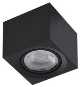 Spot aplicat de tavan/plafon ECO ALEX V2 negru