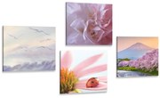 Set tablouri natura încântătoare delicată