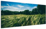 Tablou cu linca și pădure (120x50 cm)