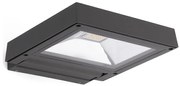 FARO 70261 - Proiector LED KARL LED/12W/230V IP65