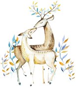 Pictura pe numere cu un cadru "Cuplu de cerbi" 50x40 cm