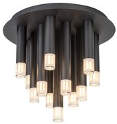 Plafoniera stil minimalist Ramira 13L negru