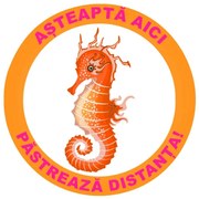 Sticker podea Asteapta Aici Calut de Mare