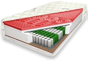 Saltea antialergica "NEPTUN" 22cm KALTSCHAUM, arcuri individuale: 160x200 Standard