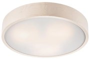 Lustr 3xE27/60W/230V pentru tavan
