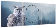 Tablou - Bufniță de zăpadă (cu ceas) (90x30 cm)