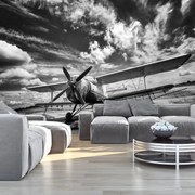 Fototapet - Avion (254x184 cm)