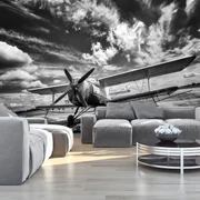 Fototapet - Avion (254x184 cm)