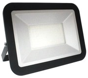 LED Proiector LED/100W/230V IP65