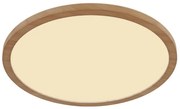 Plafonieră LED dimabilă pentru baie SAPANA LED/24W/230V IP44 Globo 41562-24WW