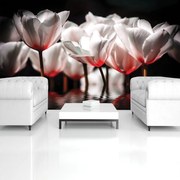 Fototapet - Flori - tonul roșu (152,5x104 cm)