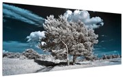 Tablou cu pom alb ca neaua (120x50 cm), în 40 de alte dimensiuni noi