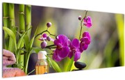Tablou - spa and stones (120x50 cm)