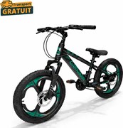 Bicicleta Caraiman, roti 20 inch, cadru otel, frane pe disc, negru cu verde